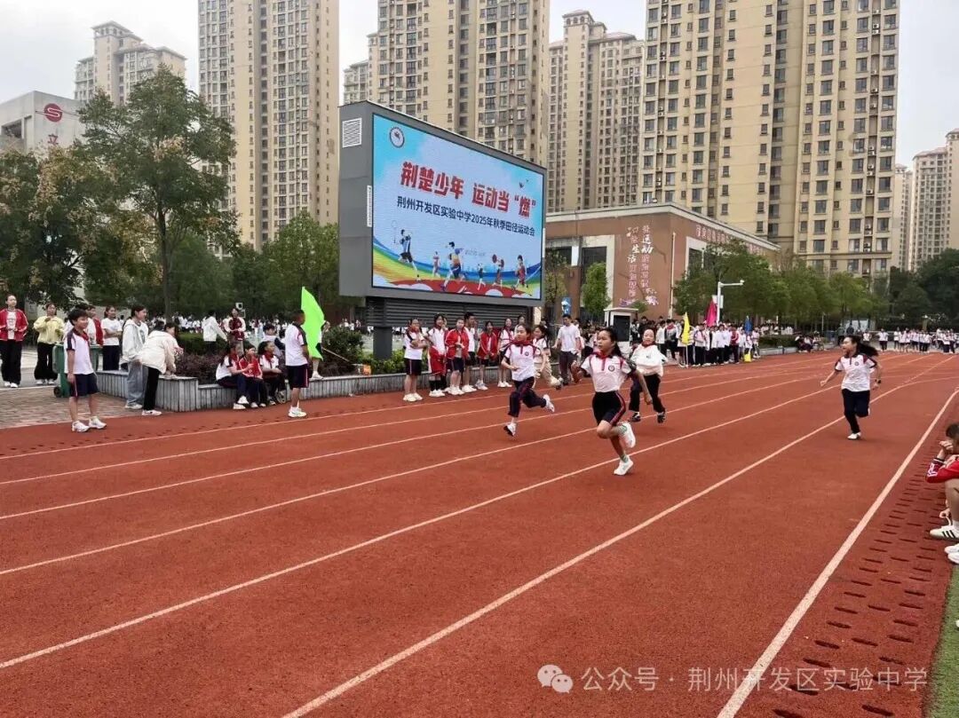 �������� �˶�����ȼ���������ݿ�����ʵ����ѧ2025���＾�ﾶ�˶���